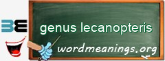 WordMeaning blackboard for genus lecanopteris